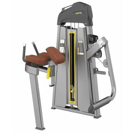 Глют-машина. Ягодичные DHZ Glute Isolator Стек 95 кг E-1024В