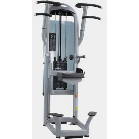 Подтягивания и отжимания MATRIX G3 S60