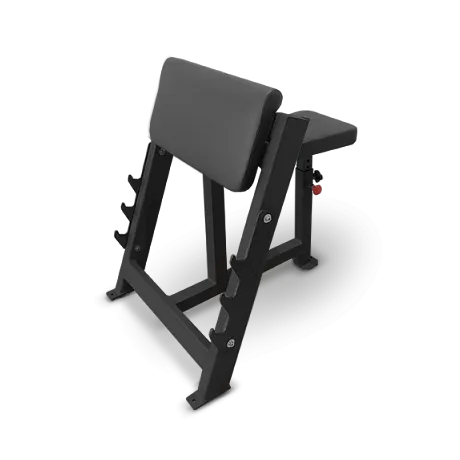 BRONZE GYM  AL-303 Скамья Скотта