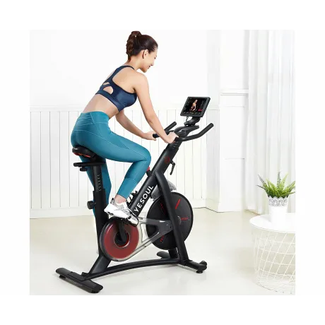 Велотренажер Yesoul BS3-B PRO - Фото 6