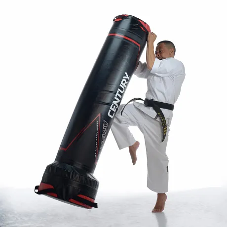 Напольный мешок CENTURY Arashi 770 - Фото 4