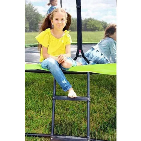 Батут Sundays Champion Premium-D490 (с ограждением) - Фото 11