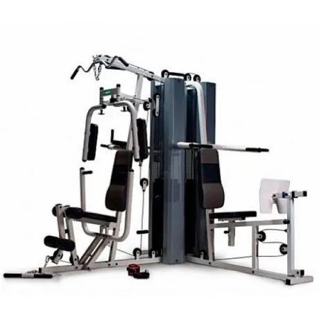 Многофункциональный силовой комплекс PROTRAIN MT301