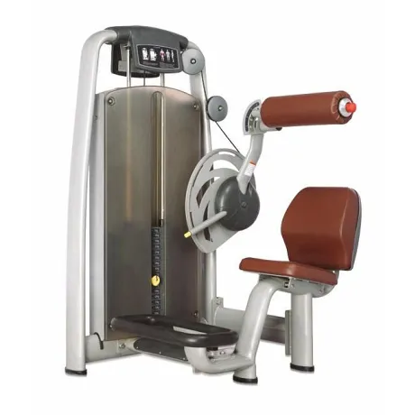 Разгибание спины BRONZE GYM A9-009
