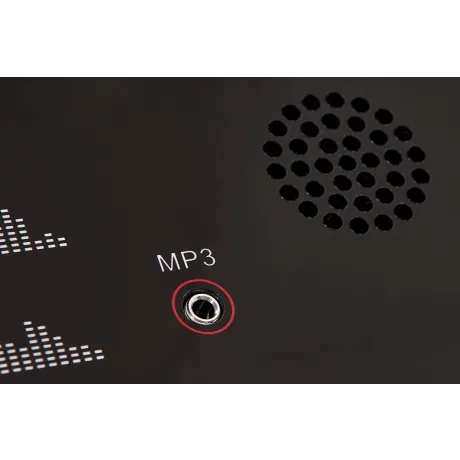 Беговая дорожка Titanium Masters Physiotech TDM - Фото 11