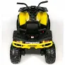 Электроквадроцикл BARTY T007MP желтый - Фото 8