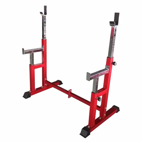 Силовая скамья со стойками DFC DZ005AB - Фото 2