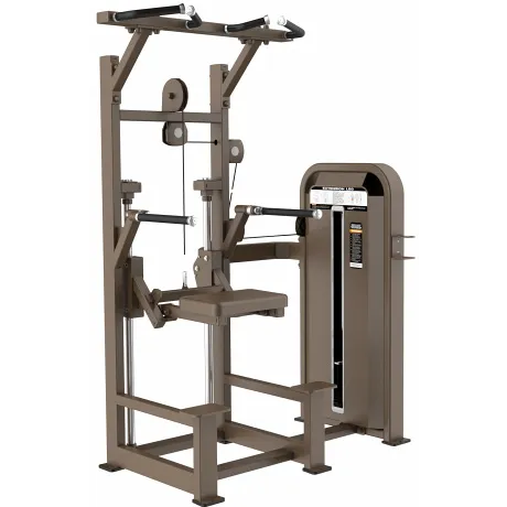 Турник, брусья с противовесом DHZ Dip/Chin Assist Стек 88 кг E-5009 - Фото 2