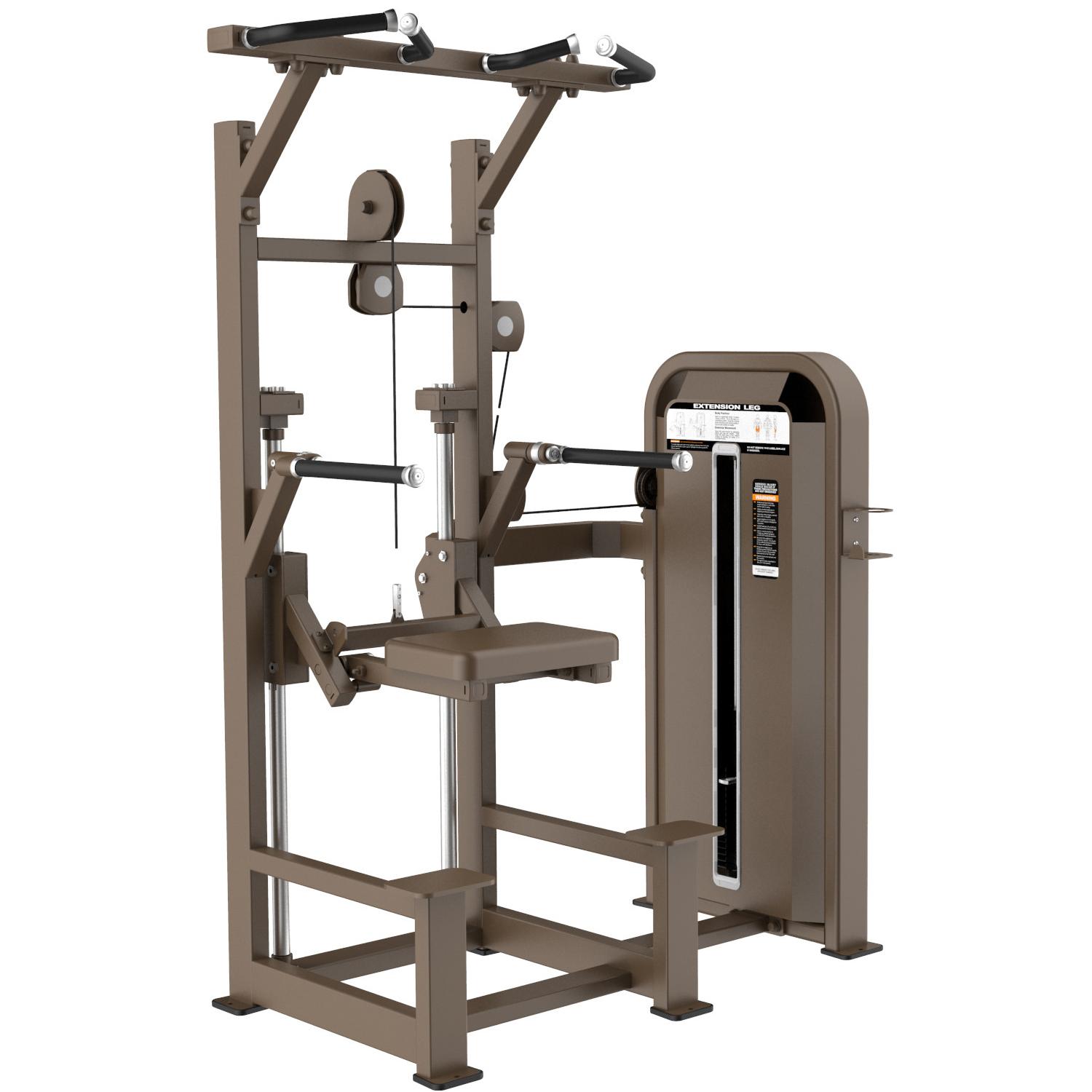 DHZ Dip Chin Assist 88 E 5009 134831 GiperSport