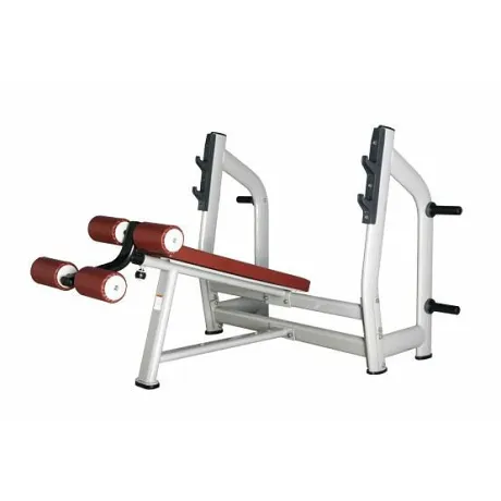 Скамья для жима с отрицательным наклоном BRONZE GYM H-024C