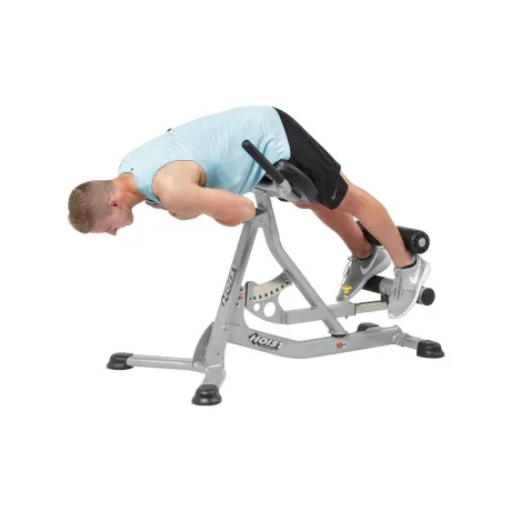 Hoist ab back roman hyper on sale