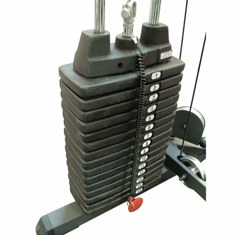 Дополнительный груз Body Solid 22,5 кг к стеку (5 плашек) SP50