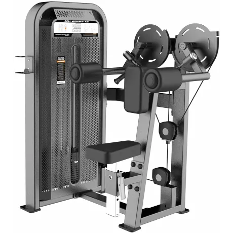 Дельт-машина DHZ Lateral Raise Стек 56 кг E-5005