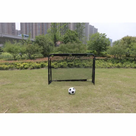 Футбольные ворота с тренировочным экраном Scholle F183 - Фото 2