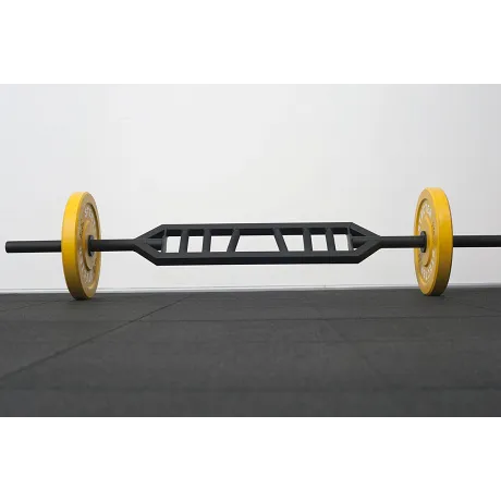 Гриф Stecter SWISS BAR