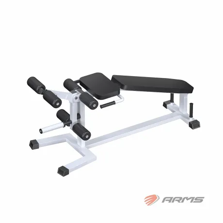 Сгибание и разгибание ног на свободных весах ARMS AR034