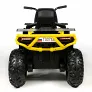 Электроквадроцикл BARTY T007MP желтый - Фото 9