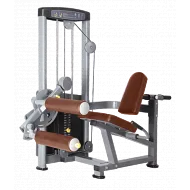 Сгибание ног сидя BRONZE GYM D-013