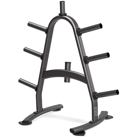 Стойка для дисков BRONZE GYM BR-1022
