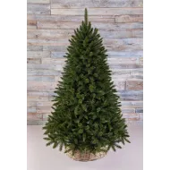 Триумф ель Лесная Красавица 200 см зеленая