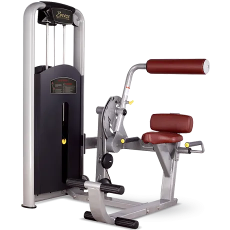 Разгибание спины BRONZE GYM MV-009