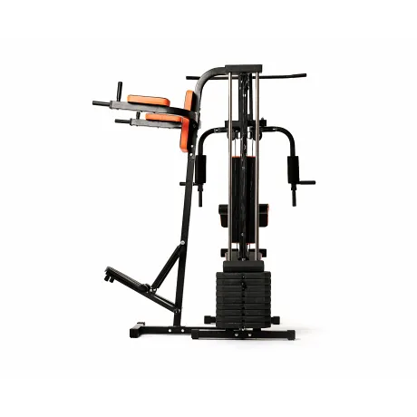 Силовой комплекс, брусья, степпер DFC D7002-60 - Фото 5