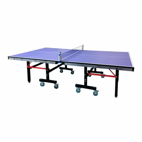 Профессиональный Теннисный стол Scholle T850 (для помещений) - Фото 4