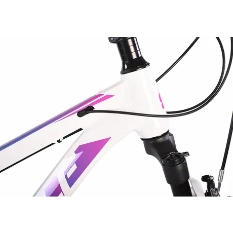 Велосипед Dewolf RIDLY 10 W (рама 16, 18) - Фото 3