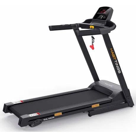 Беговая дорожка Hasttings Silver