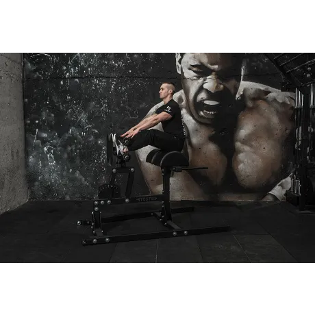 Тренажер Stecter GHD (гиперэкстензия, римский стул) - Фото 11