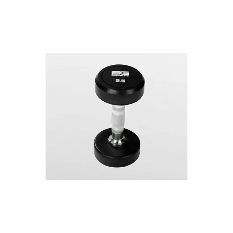Гантель обрезиненная 2,5 кг BG-PA-DB-R025