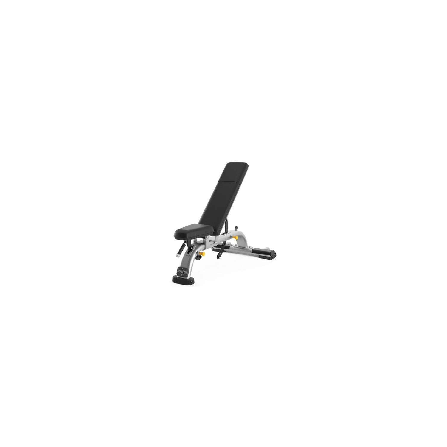Precor dbr 119 2025