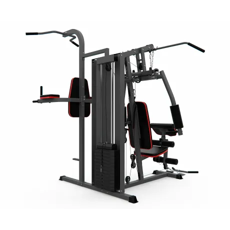 Силовой комплекс DFC D7004 (D7003 + опция брусья) - Фото 4