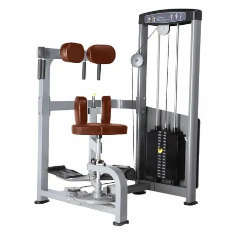 Торс-машина BRONZE GYM D-011