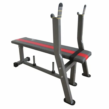 Силовая скамья со стойками DFC D307E - Фото 2