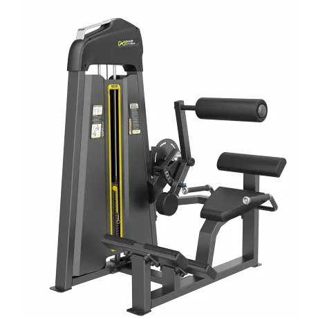 Разгибание спины DHZ Back Extension Стек 109 кг E-3031