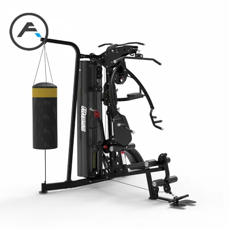 Мультистанция 3-х сторонняя Apex Intense F801 - Фото 5