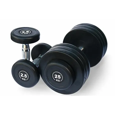 Гантельный ряд Body Solid FDS-09-2.5/25kg