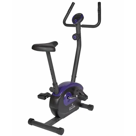 Велотренажер Royal Fitness RF-10, Арт. RFIB-10