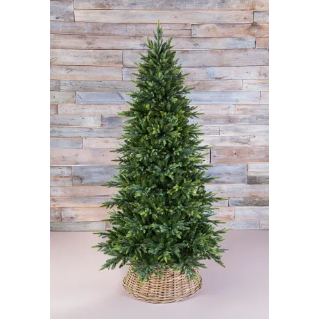 Триумф ель Королевская стройная 200 см зеленая