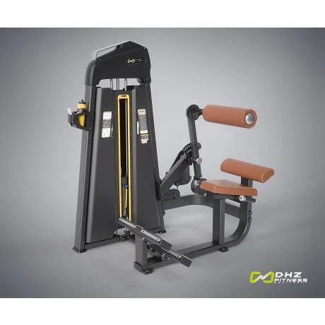 Разгибание спины DHZ Back Extension Стек 109 кг E-1031В - Фото 4