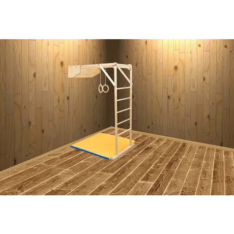 Деревянный игровой комплекс KIDWOOD Жираф. Комплектация СПОРТ - Фото 3