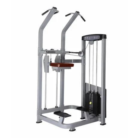 Турник/Брусья с противовесом BRONZE GYM D-008