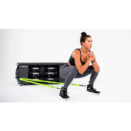 Эспандеры FITBANDS расширенный набор