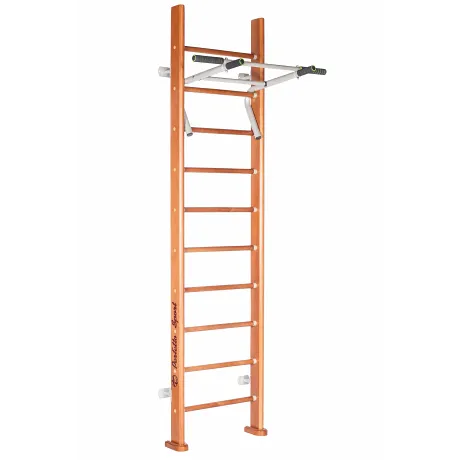 Спортивный комплекс Perfetto Sport Rapido PS-102