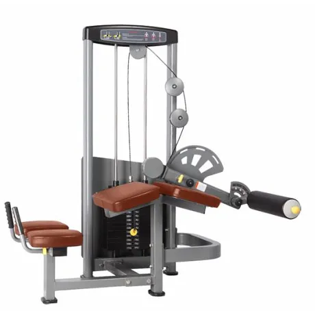 Сгибание ног лежа BRONZE GYM D-013A