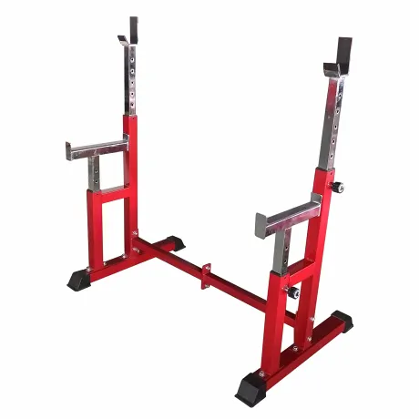 Силовая скамья со стойками DFC DZ005FB - Фото 2