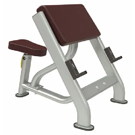 Скамья Скотта UltraGym UG-KJ1247