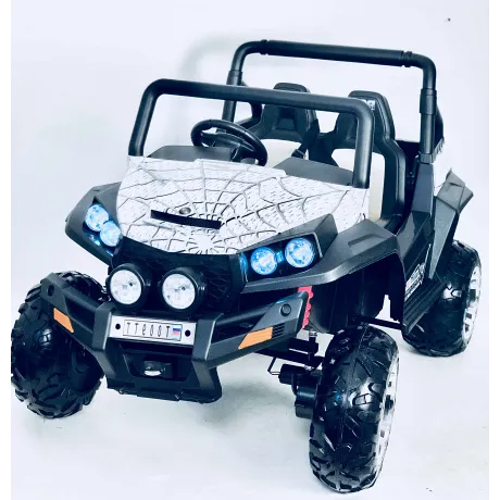 Электромобиль RiverToys BUGGY T009TT 4*4