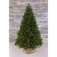 Триумф Можжевельник 155 см зеленый